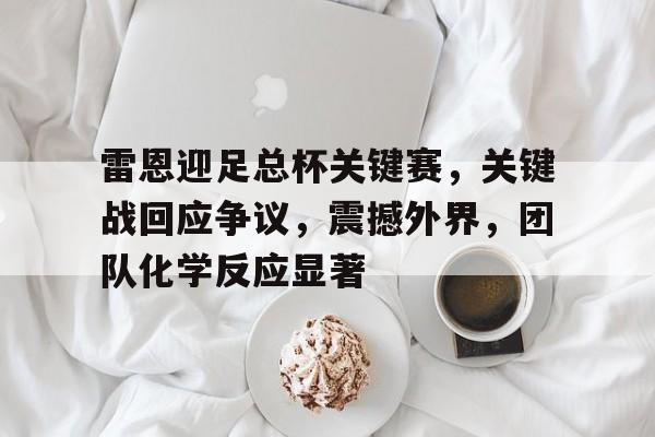 雷恩迎足总杯关键赛，关键战回应争议，震撼外界，团队化学反应显著的简单介绍-Nine Games